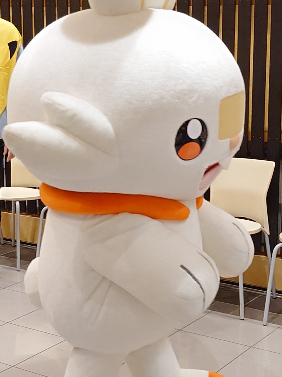 tsuyoponsuke's tweet photo. 野生のポケモンに初めて遭遇したw https://t.co/oJDDmNrFlF