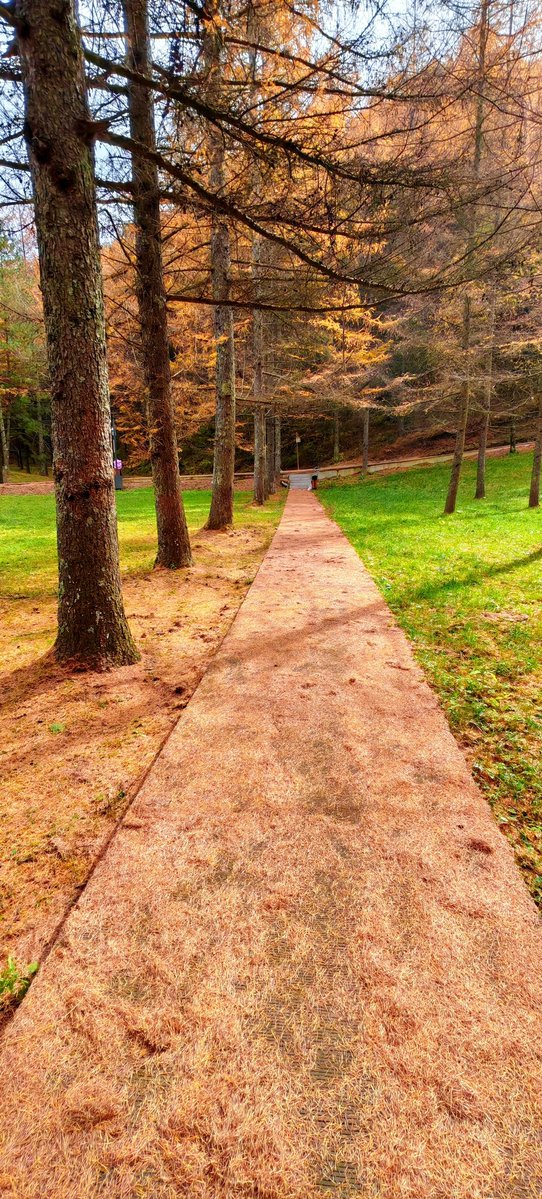 johyb59487531's tweet photo. Autumn breeze, crispy leaves, and that perfect afternoon coolness—today’s the kind of day that makes you grab a warm latte and take a long walk. ， https://t.co/wN3zFEv30f