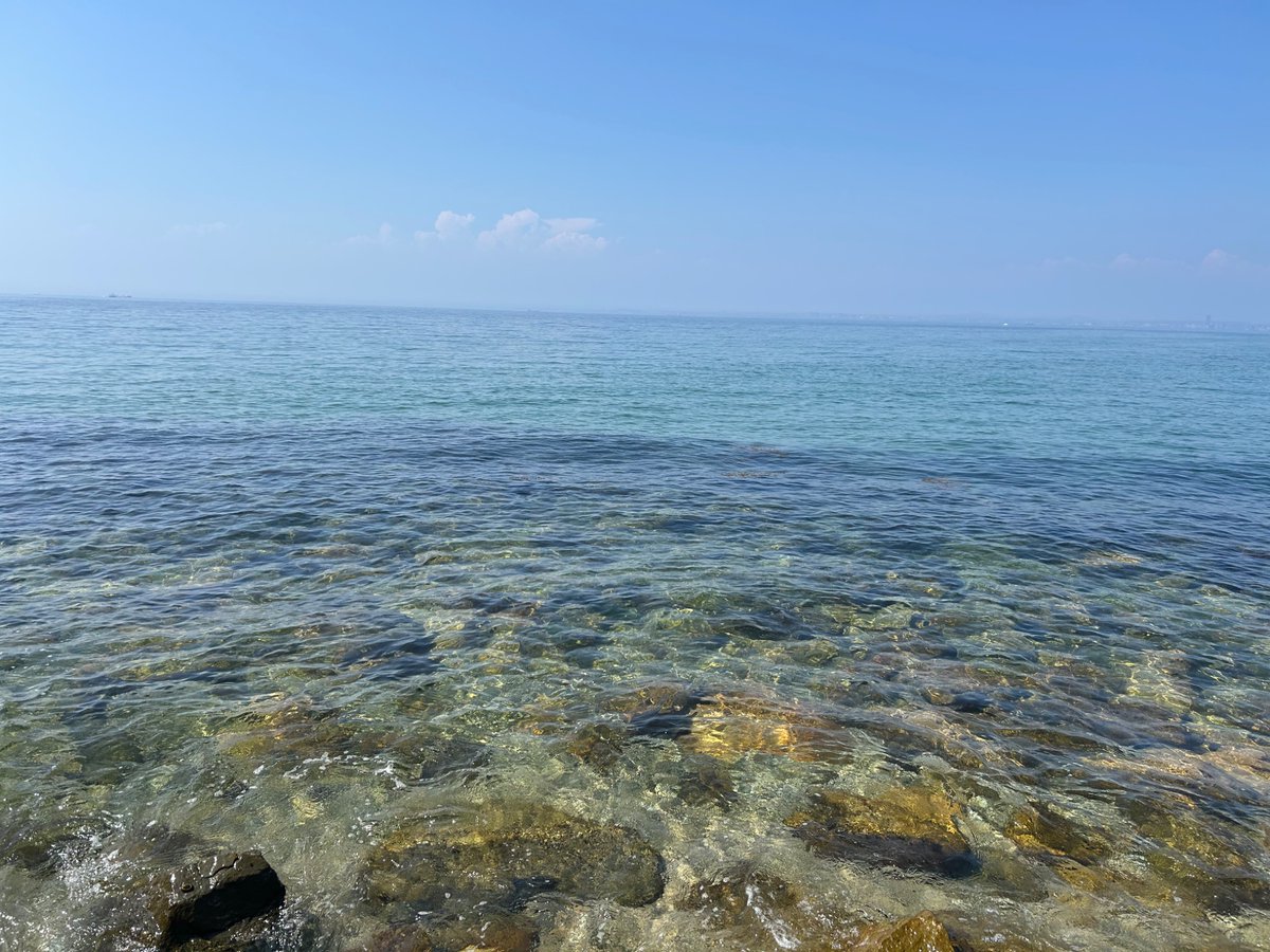 xgsrg_'s tweet photo. 本日どうやらTが誕生してしまった日のようです。
友達と4人、淡路島に行ったことない人も連れてドライブでお祝いされています。
幸せ31歳マン✋(　ˆ̑‵̮ˆ̑　) https://t.co/CnWN0NmghK