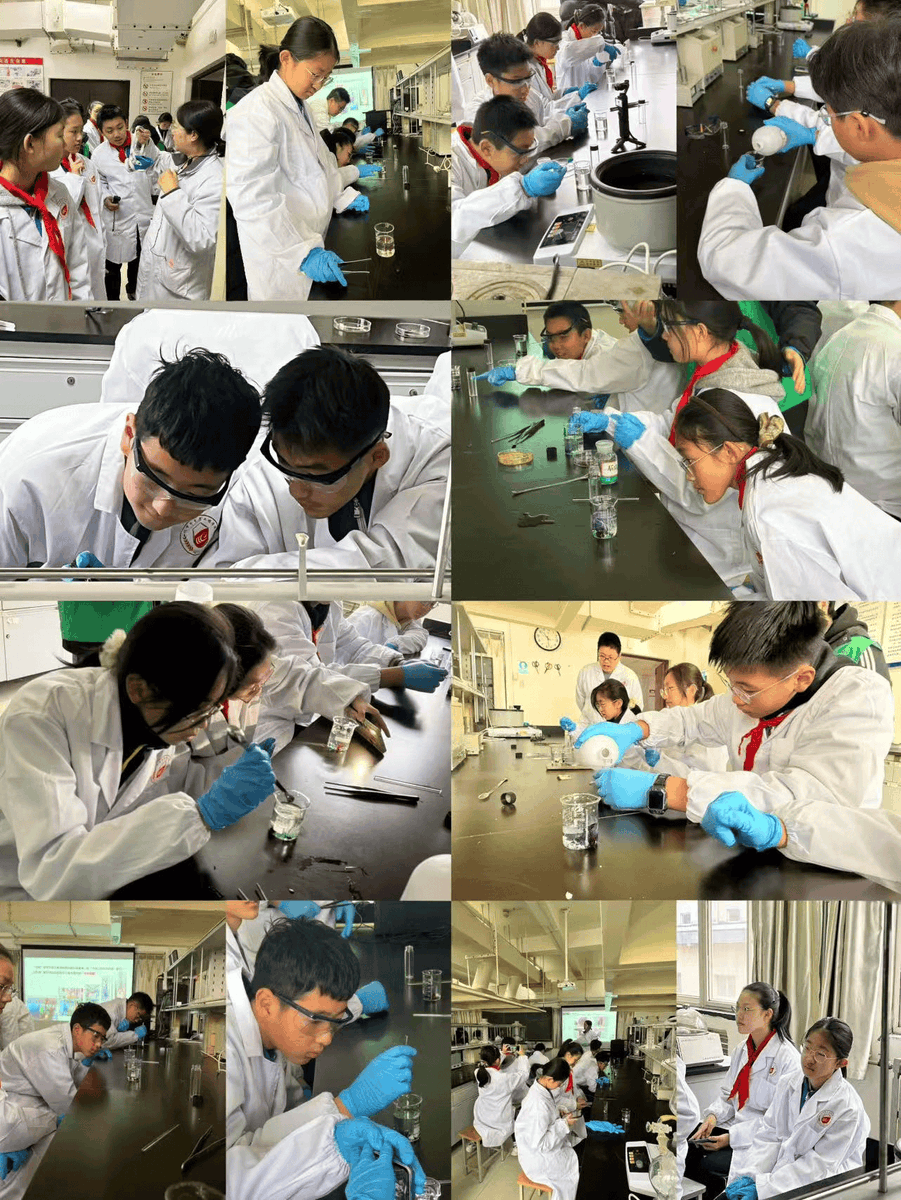 RoteZora71's tweet photo. Just had a chaotic campus lab moment: my chemistry partner accidentally mixed baking soda into the acid beaker instead of water—bubbles went everywhere, and the prof just laughed instead of yelling. Growth, right https://t.co/lFfXnWlpD9