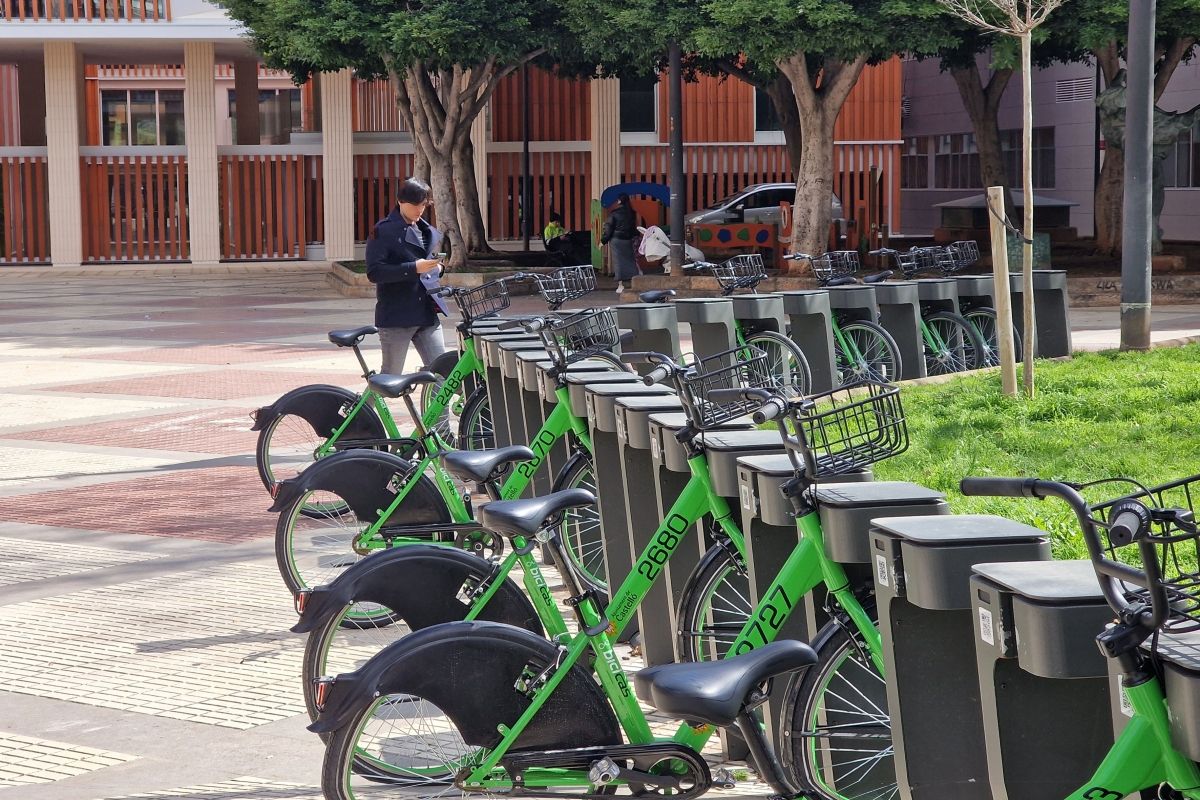 Castellón Plaza tweet media