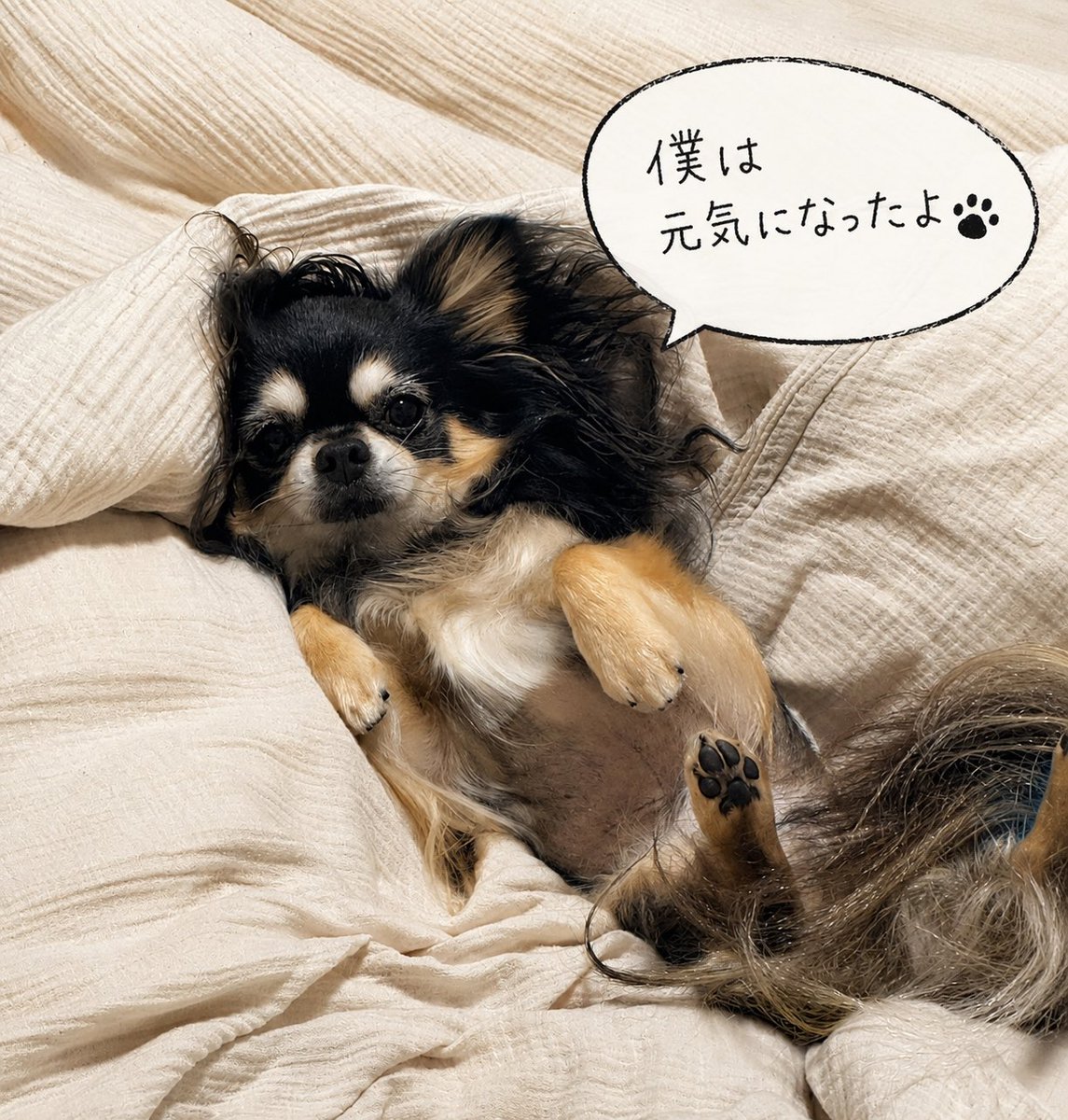 高山のぞみ🐶『高山のここからはじめるリスニング』(Gakken)3刷決定