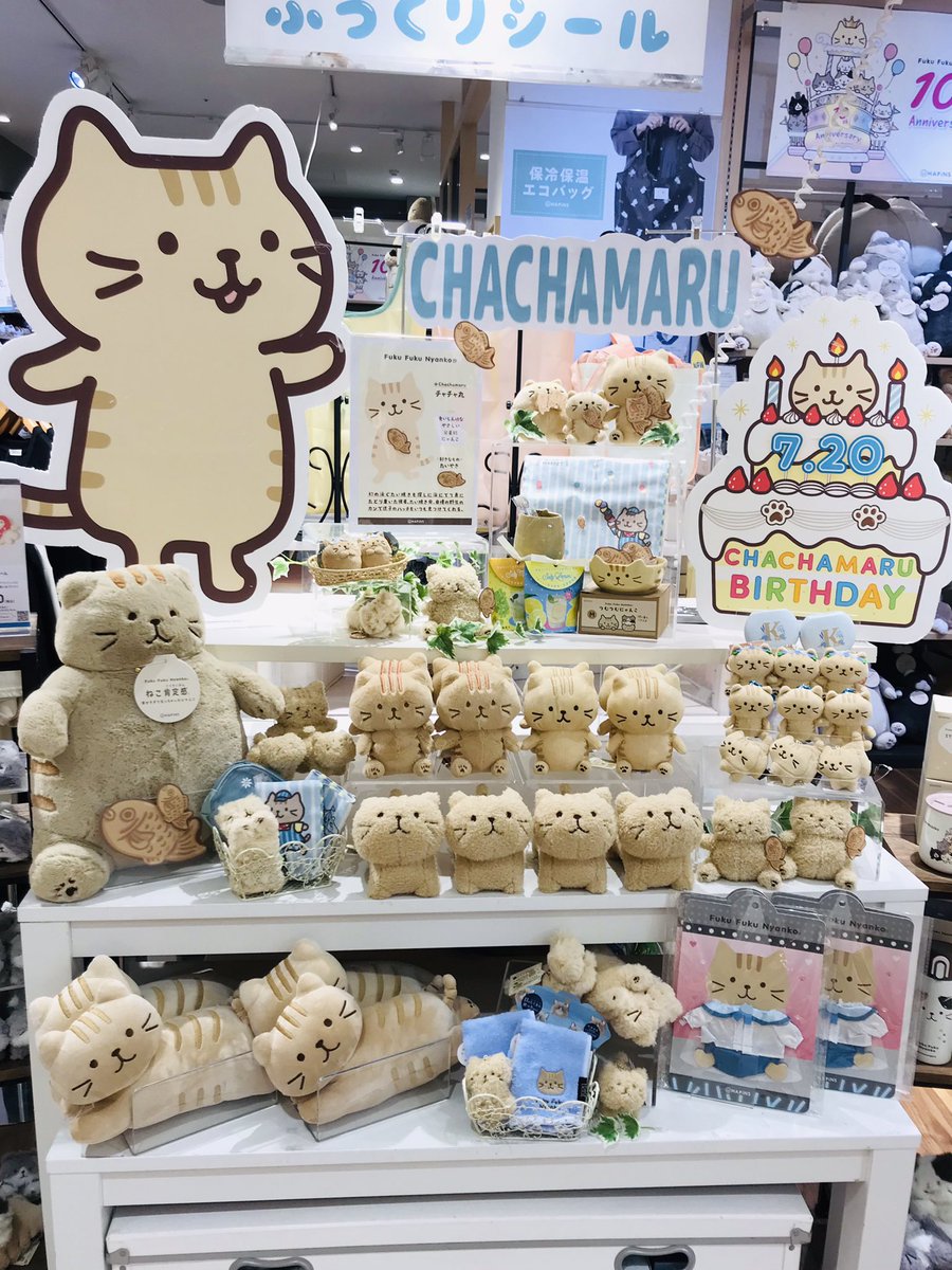 Fuku Fuku Nyanko(ふくふくにゃんこ) (@fukufuku_nyanko) / Posts / X
