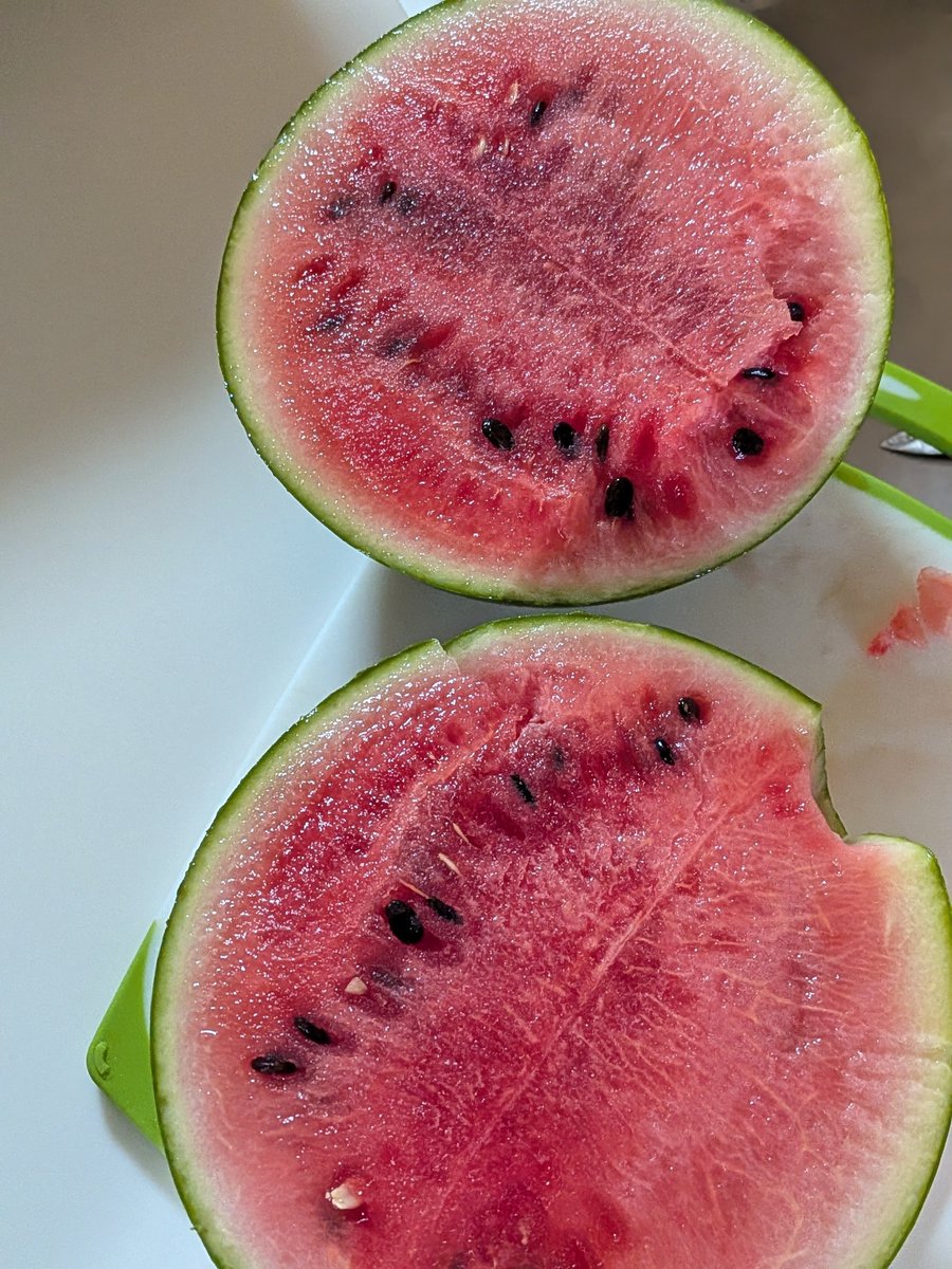 towako123's tweet photo. 今日の収穫🧺🍉🥒 https://t.co/oqWOYyvrhQ