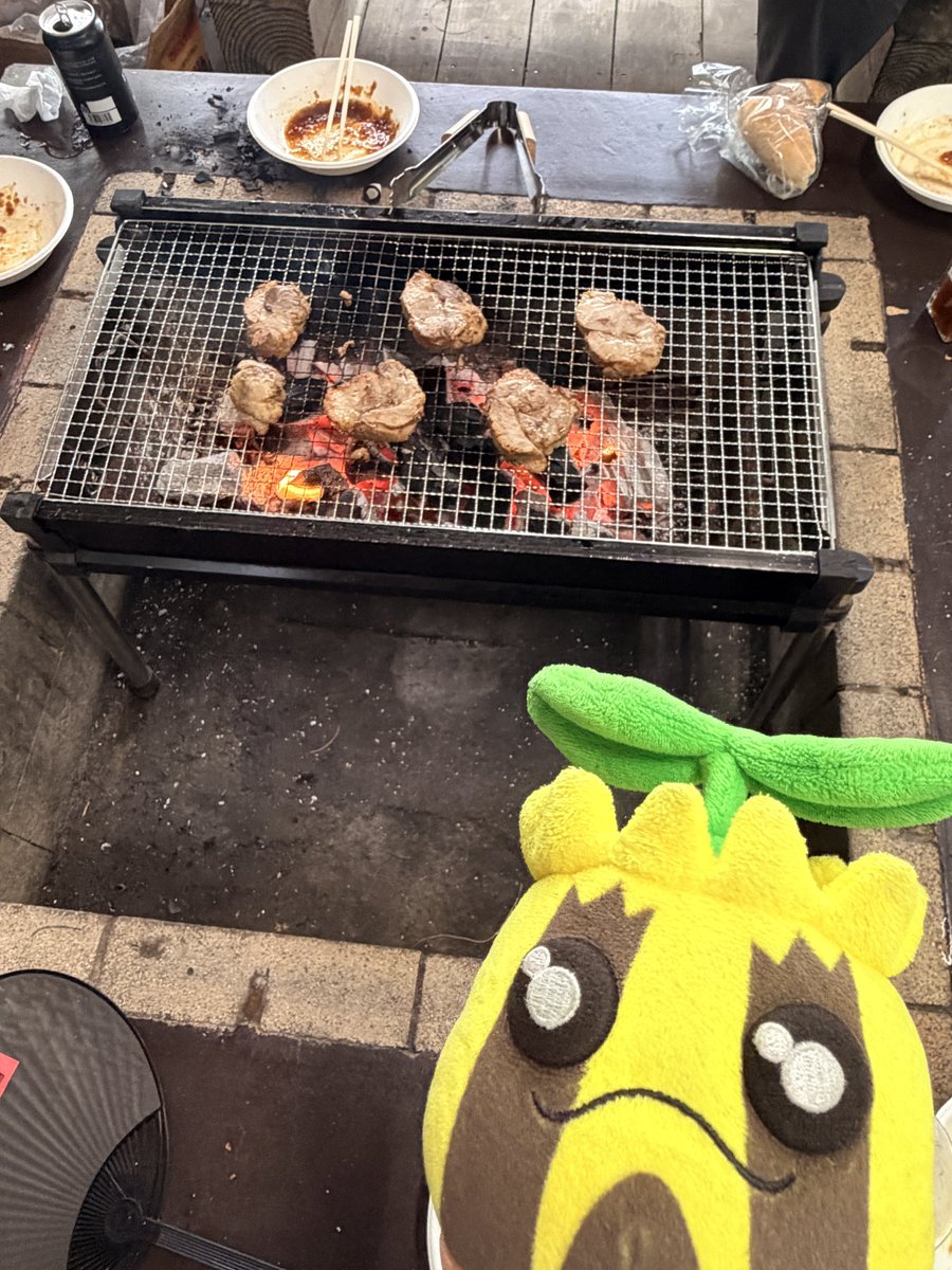 SunkernIsNo191's tweet photo. バーベキューと、ヒマナッツ https://t.co/xRQ4cb9k04