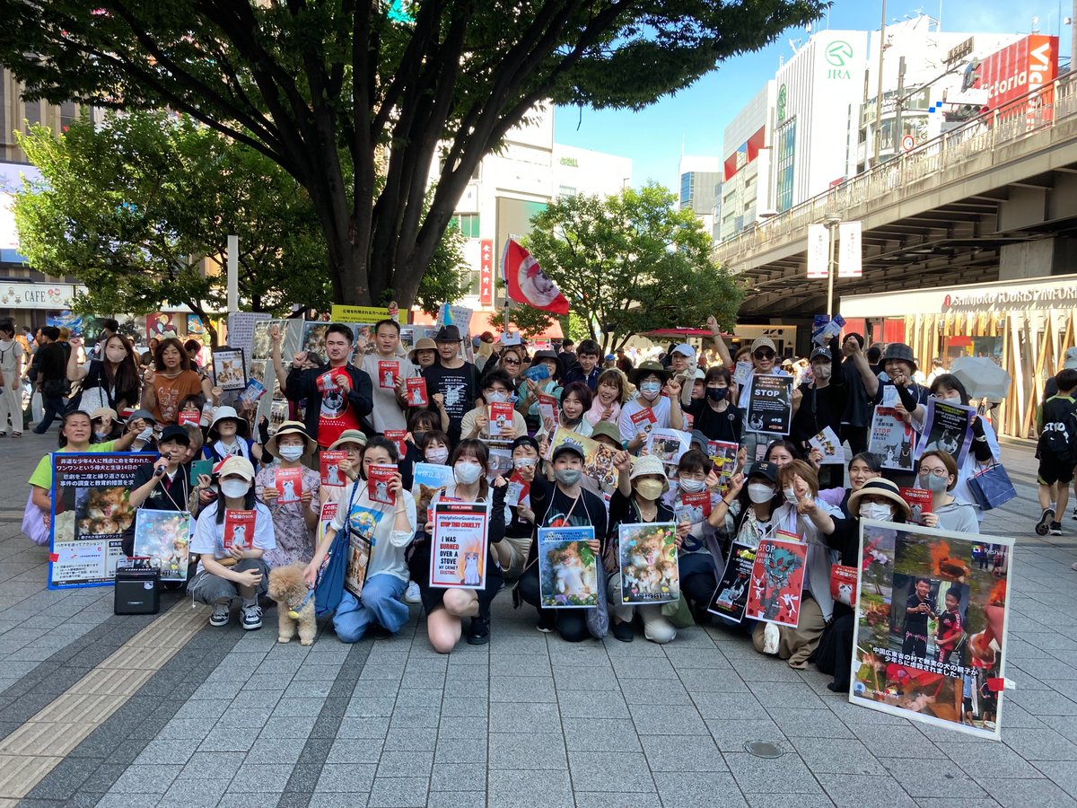 lunluor's tweet photo. 再次感谢日本朋友，尤其是组织者@dignityofanimal 这次宣传单做得好，中日英合一，方便散发。辛苦了！
希望参与活动的中国同胞越来越多。 https://t.co/hxnyBy63Yq