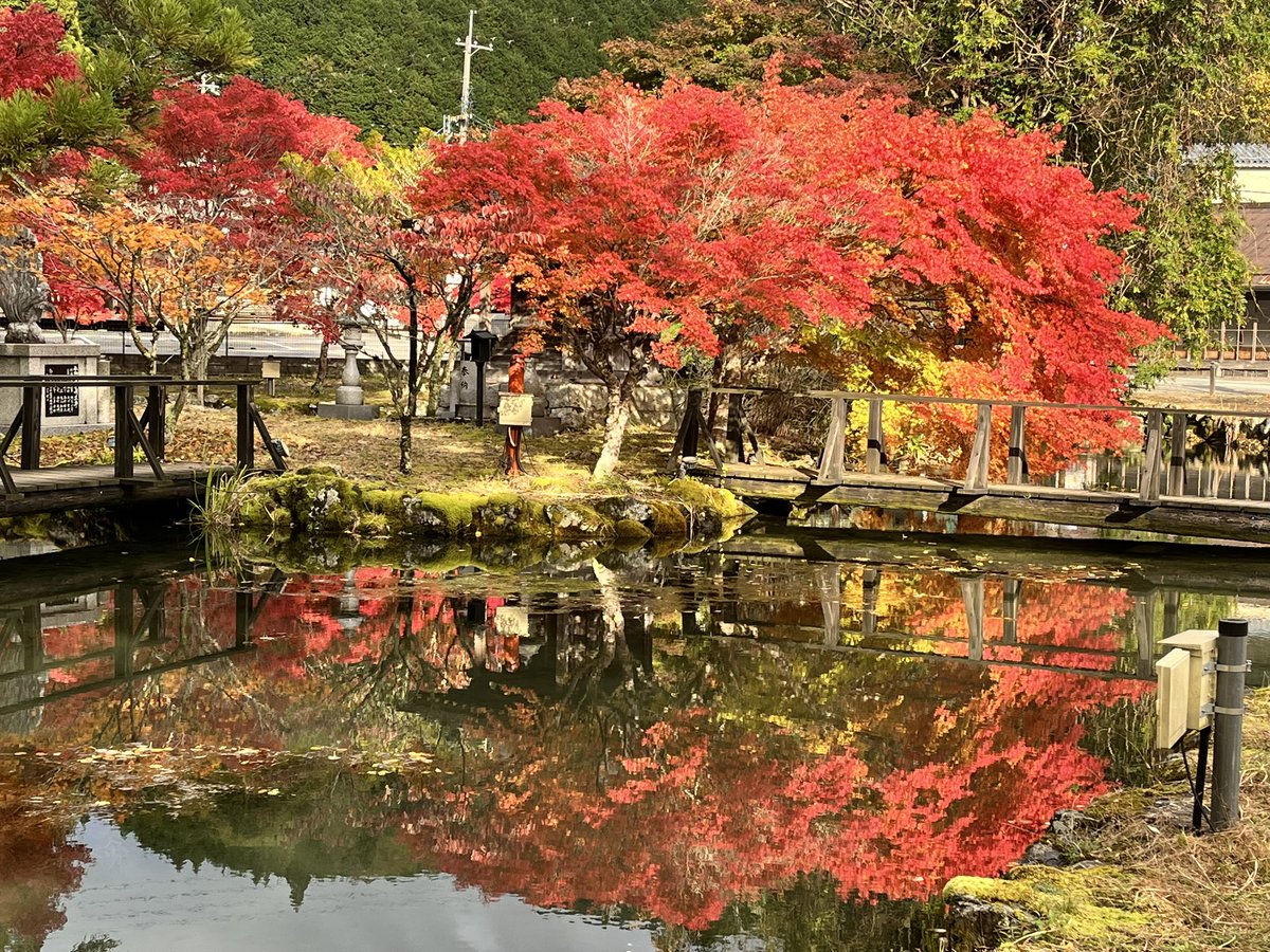 kikuchi_0814's tweet photo. @cobta 都会のデモも良いですが、観光がてら奈良県二区高市早苗の選挙区のデモにも来てください

７月24日（金）１８：３０～１９：３０ 今こそ平和憲法を！戦争準備はなかなかない！ 
＃高市早苗の選挙区奈良県二区でやめろと叫ぶ

＃龍泉寺　＃洞川温泉 https://t.co/Jsiium3ZJO