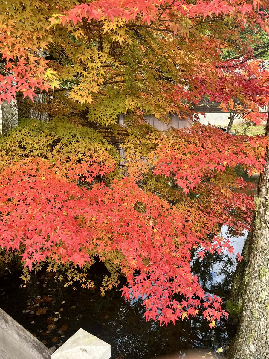 kikuchi_0814's tweet photo. @cobta 都会のデモも良いですが、観光がてら奈良県二区高市早苗の選挙区のデモにも来てください

７月24日（金）１８：３０～１９：３０ 今こそ平和憲法を！戦争準備はなかなかない！ 
＃高市早苗の選挙区奈良県二区でやめろと叫ぶ

＃龍泉寺　＃洞川温泉 https://t.co/Jsiium3ZJO