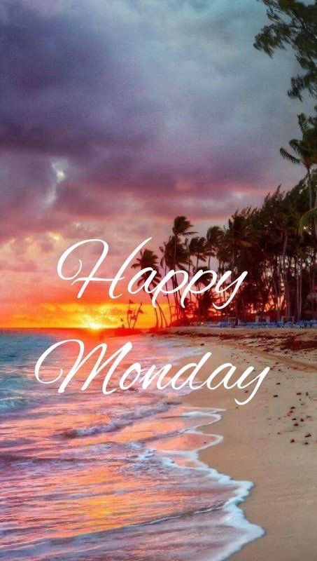 DianeElQueen's tweet photo. @Meningioma_host Happy Monday Andy 🌹☀️🌹☀️🌹 https://t.co/KuR1A3hKkJ