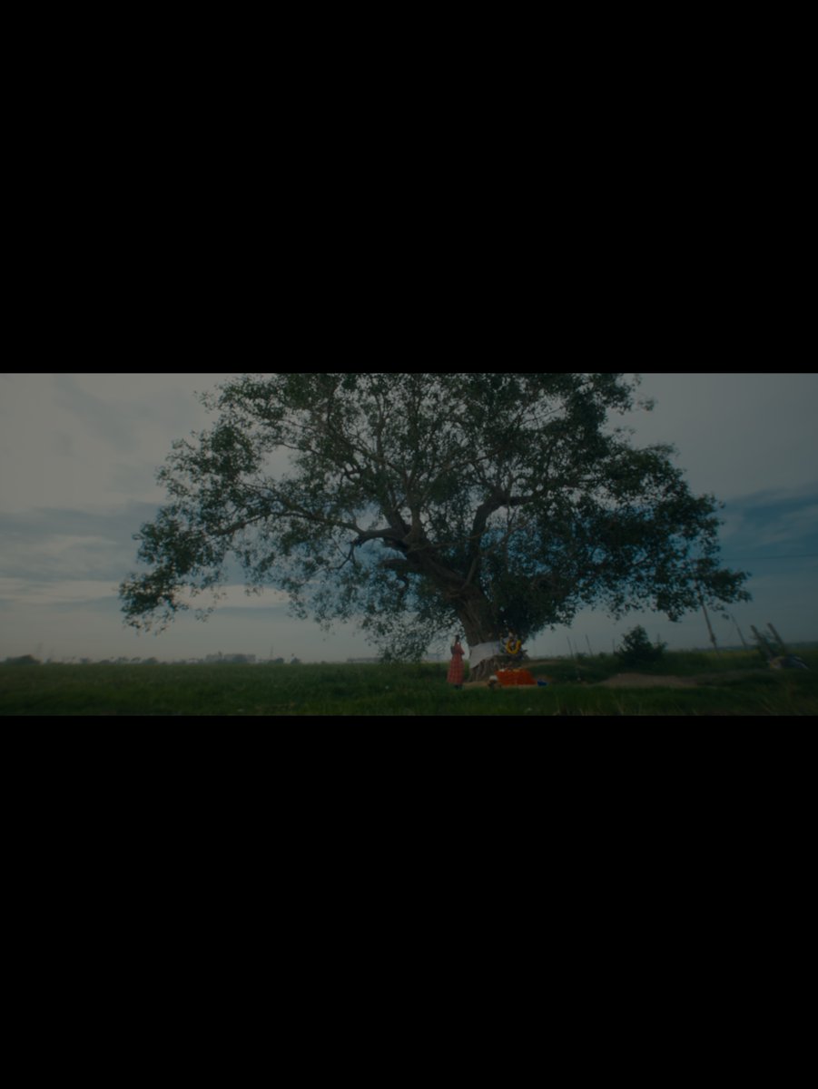 _anascolor's tweet photo. Kollipaavai | Pilot Film - (2/2)

Color | @_anascolor
Finishing Editor | @_anascolor
Written &amp; Direction | vign_eshvaran24
Editor | keerthirajan_photography
Music | steve divakar
Sound Mix | sevensoundsoff
Poster Design | @manitalkin https://t.co/SqhRSg2Z7q