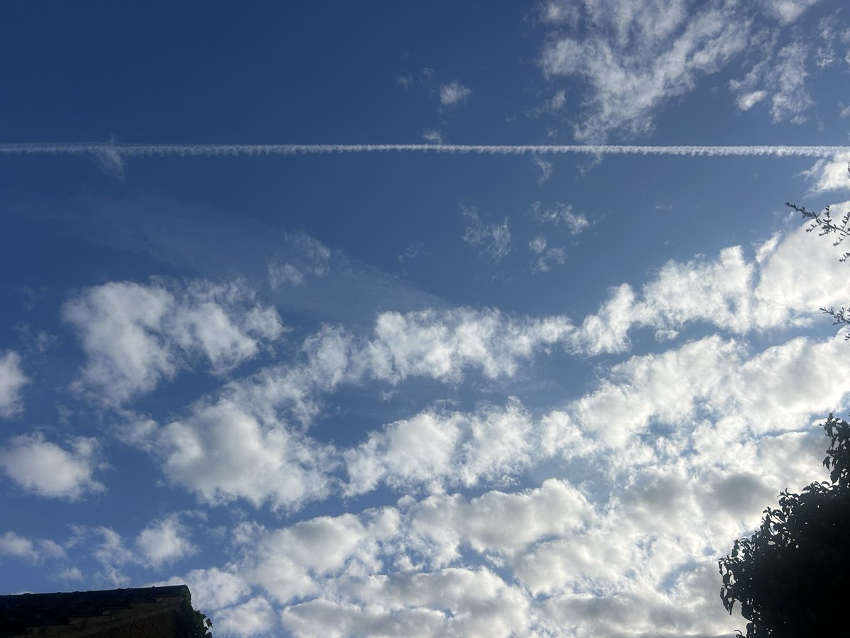 chatswithem's tweet photo. Lines and talcum powder clouds are back
Look how quickly the lines puff out ... literally 20 mins apart from coming out the plane to spreading wide
#stopthespray
#stopgeoengineering
#clearskies
#lookup https://t.co/eRXtdO0Vpx