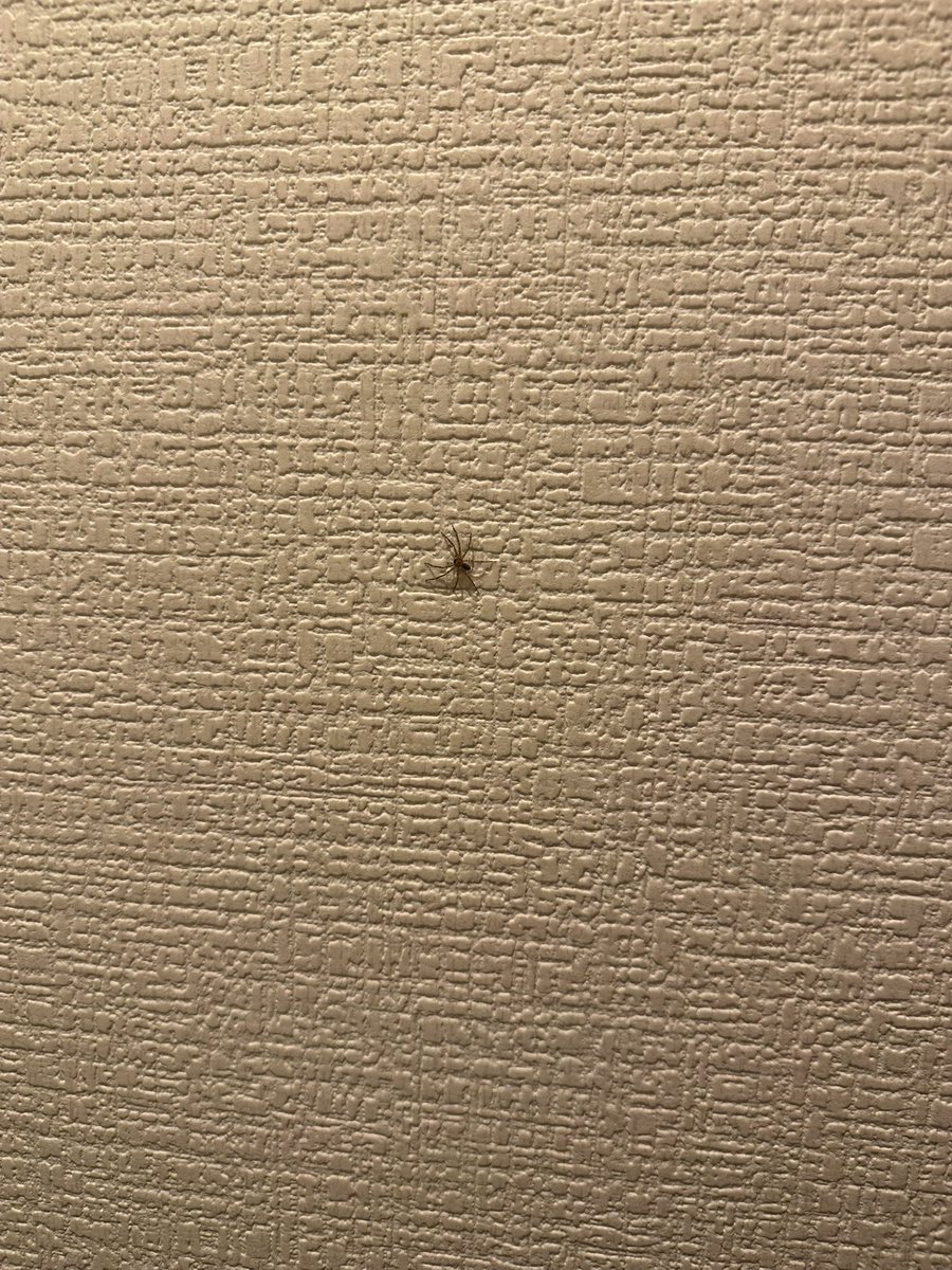 astkgg's tweet photo. エネミー発見！
許せぬ🫵 https://t.co/LeJT5KdeJ1