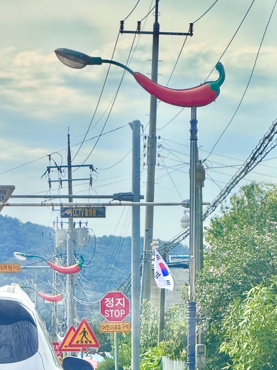 8_goki's tweet photo. 충청남도 청양은 가로등마저도 청양고추 모양이란 거 아시나요 그리고 청양고추두부도 먹을 수 잇어요 🌶️ https://t.co/zWfvMLxsff
