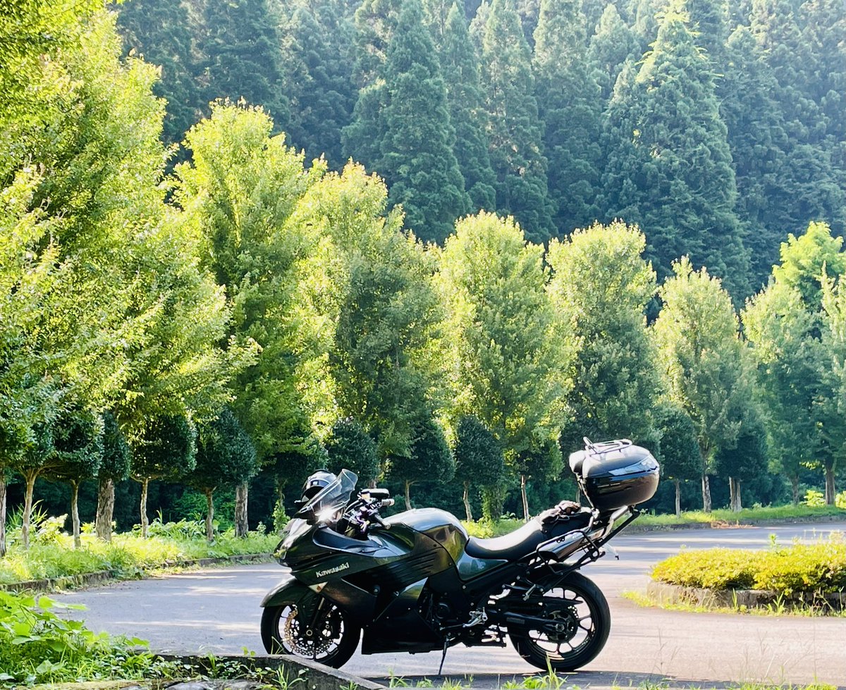 bocchirider's tweet photo. 郡上八幡来たけど
途中の細い峠道で
20台位のキチガイにぶち抜かれて
久々にイライラしてまった……
カーブでも平気で抜きやがった

免停明けじゃなければ追いかけて��けど

大人の対応でグッと我慢…

そもそも免停なってなければ追いつかれる事も無かったと思うけど……

事故って逝っちまえ！ https://t.co/uGcjevYWIx