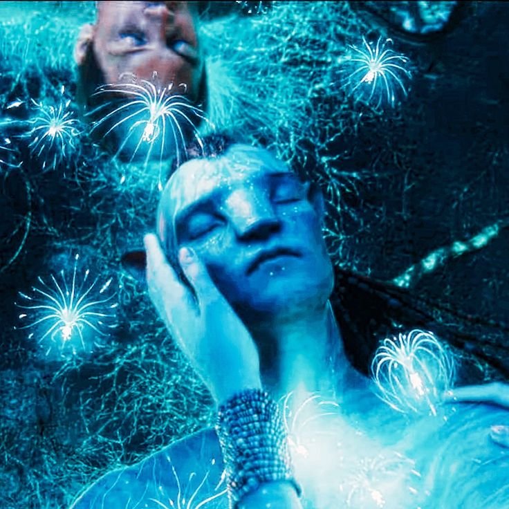 silacorner's tweet photo. This parallel
#avatar https://t.co/nETZRy09no