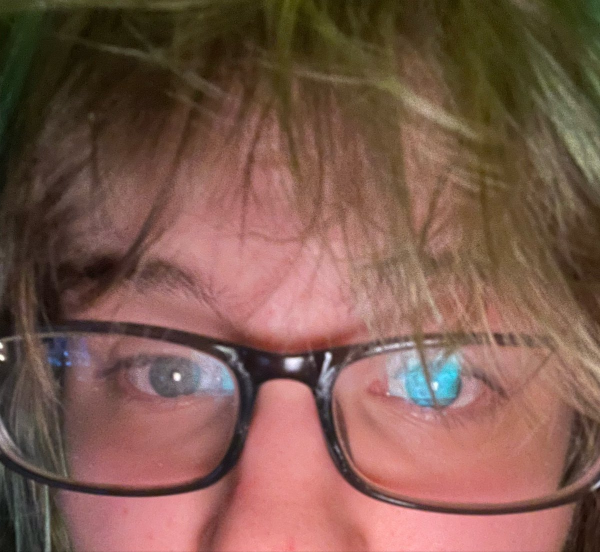 willowcatwav's tweet photo. hello!! https://t.co/vsvUz6Pp0I