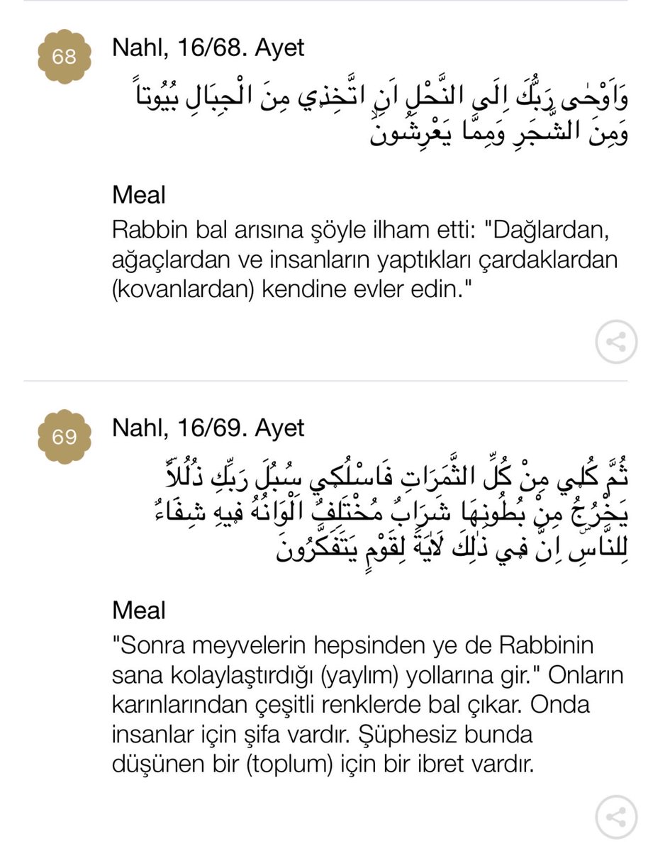 avaliozkaya's tweet photo. Temiz su,
Süt,
Hurma ve üzüm,
Bal… (Nahl Süresi: 65,66,67,68 ve 69.ayetler).

Bize sınırsız nimetler veren Rabbimize şükürler olsun.
Hayırlı ve bereketli haftalar diliyorum… https://t.co/SZNugxUSid