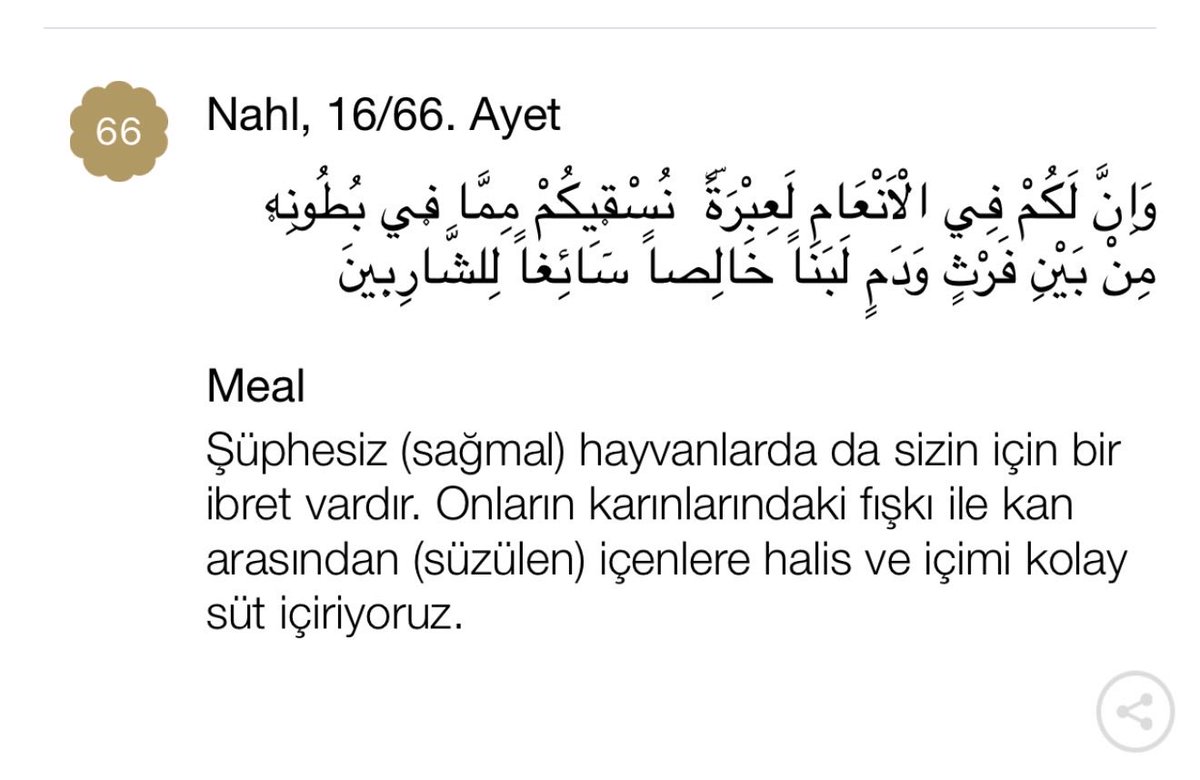 avaliozkaya's tweet photo. Temiz su,
Süt,
Hurma ve üzüm,
Bal… (Nahl Süresi: 65,66,67,68 ve 69.ayetler).

Bize sınırsız nimetler veren Rabbimize şükürler olsun.
Hayırlı ve bereketli haftalar diliyorum… https://t.co/SZNugxUSid