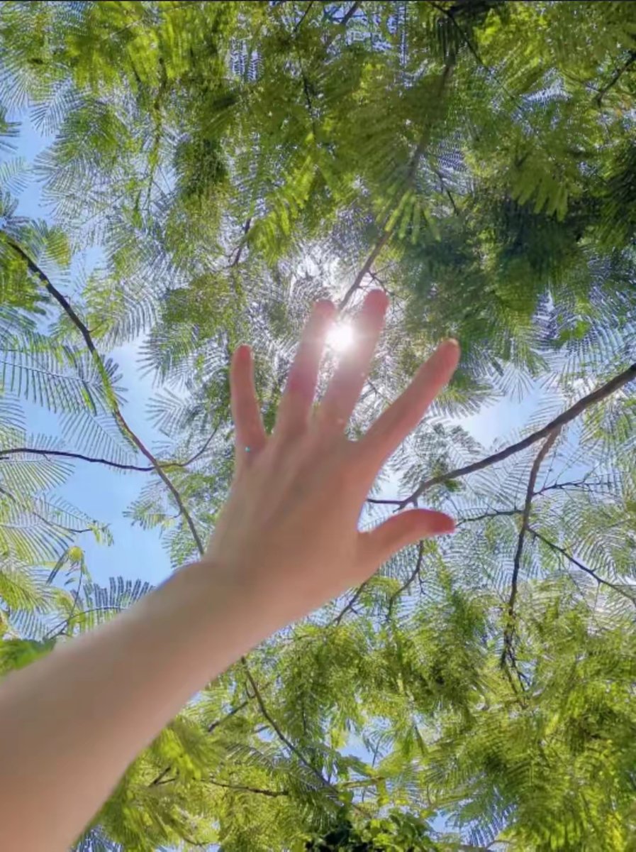xo_exo_ya's tweet photo. [Just had a tiny walk under soft sunlight and suddenly felt my chest go warm—small, easy joys hit different on gray days ] https://t.co/P03veMvXj4