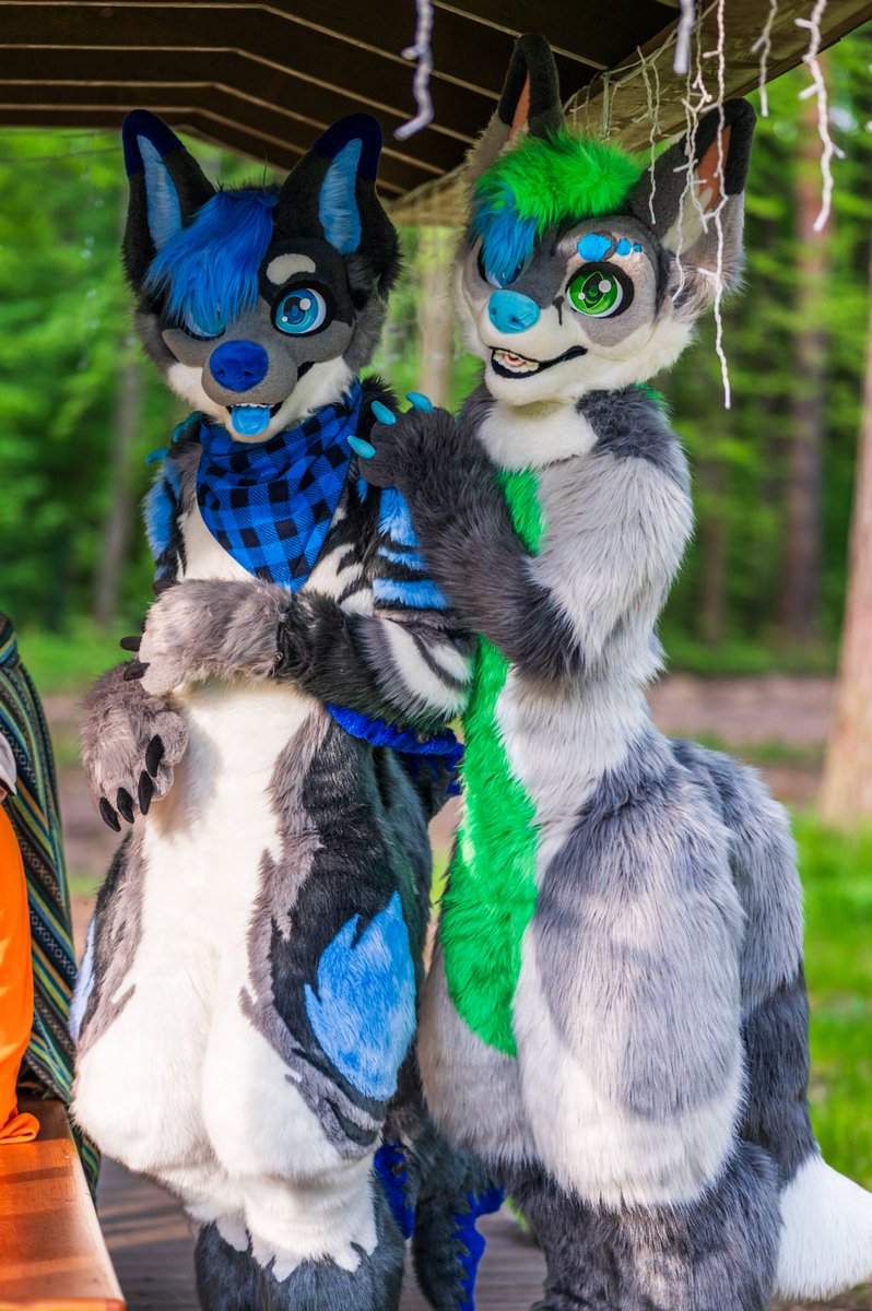 vovan_the_fox's tweet photo. Come here bro :3

#furry #fursuiting #FursuitsEveryday https://t.co/6zoAx9tzux