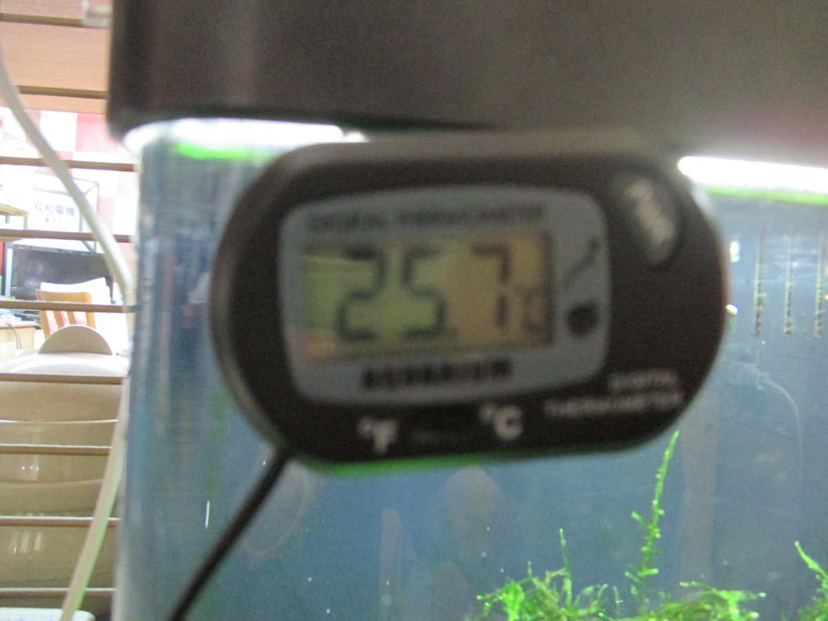 bDOScHy745EWrh7's tweet photo. ニッソールームメイト901改
水槽用ファン導入
オトシンとピグミーコリも導入
効果覿面水温下がった！ https://t.co/8yCHoyBFmF