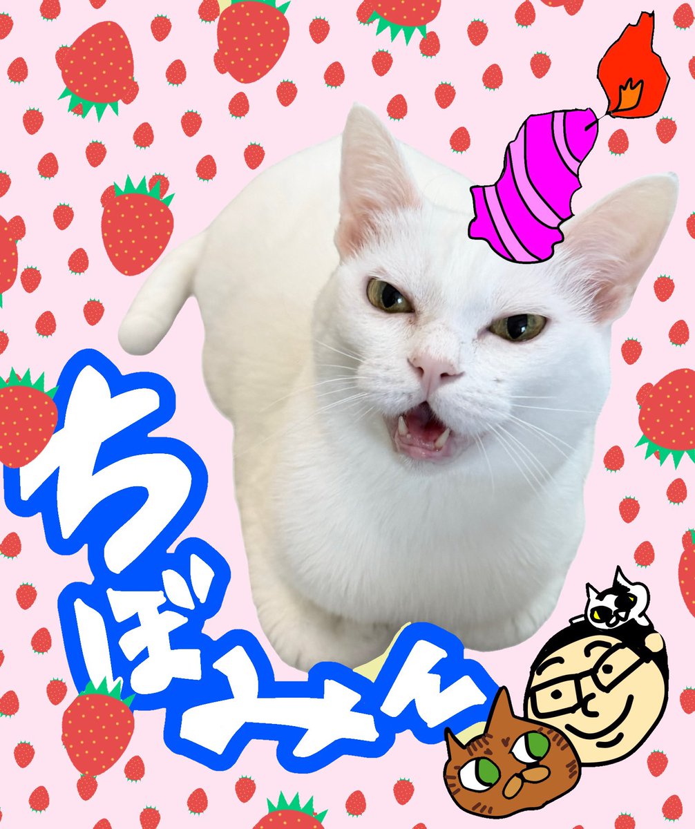 ぐう⟡꙳ =͟͟͞͞🌰ヽ( '-'ヽ)ｷｬｯﾁ (@zu_to_guu) / Posts / X