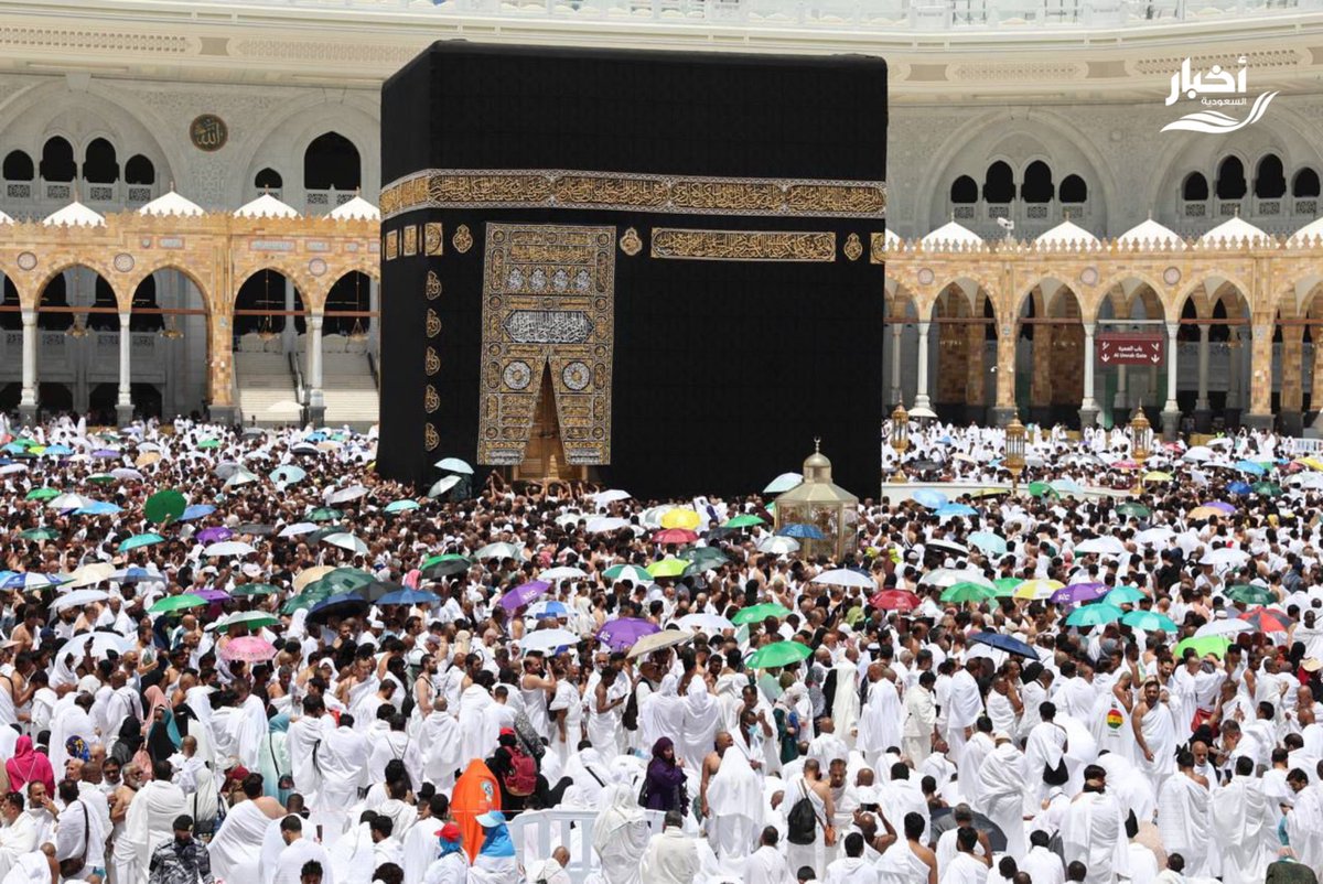 أخبار السعودية tweet media