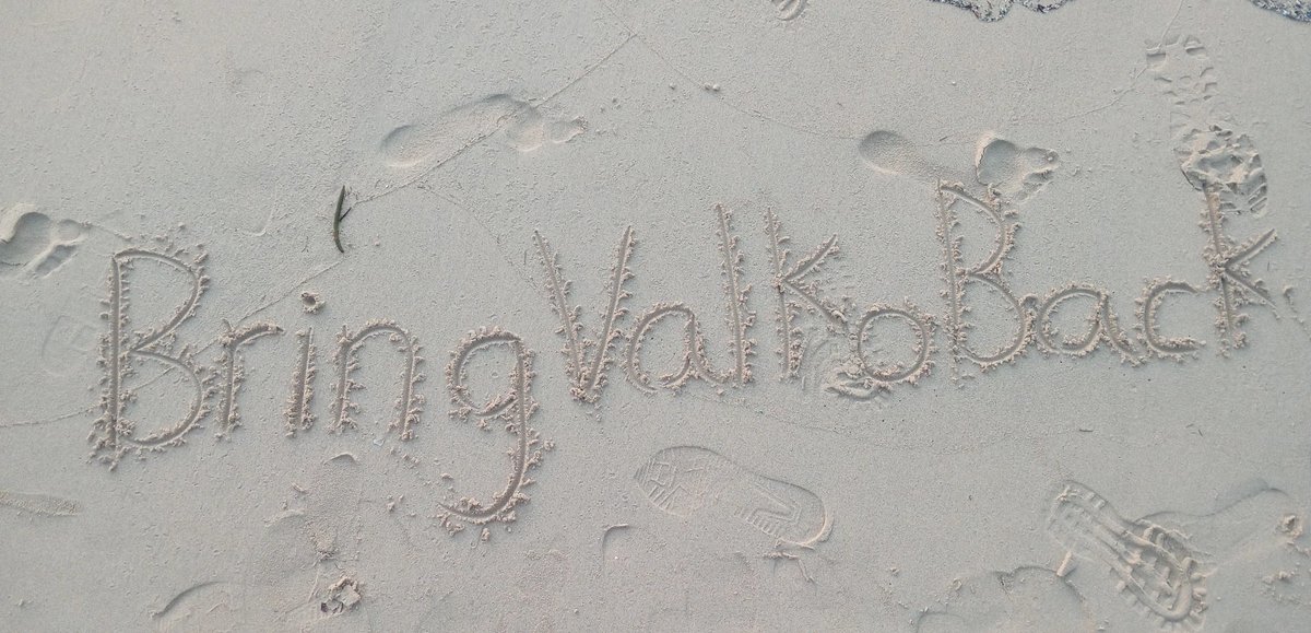 Naszellaa's tweet photo. @Love_Deepspace 🌊🐾🐺 #BringValkoBack https://t.co/Ua8cmxwg3W