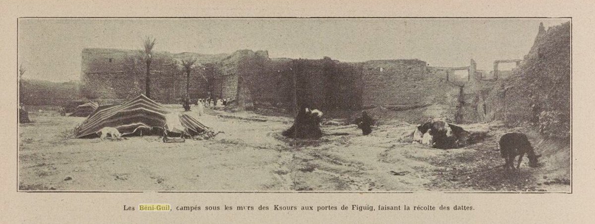 aba_la3rab's tweet photo. - ”The Beni Guil [Dhawi Mansur - Banu Ma’aqil], under the walls of Ksours near Figuig, harvesting dates��� (1907/1908) https://t.co/pA9qGIuzZq