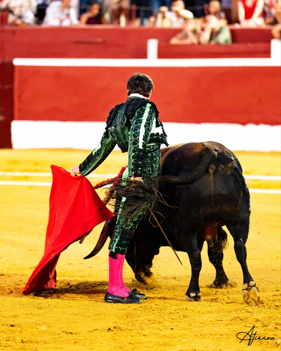 Atienza_Edu's tweet photo. 📸 • Javier Cortés. Copa Chenel Alalpardo 2026.
•
•
•
Fotografías originales de Edu Atienza.
@JavierCortesInf 
@CopaChenel 
#Toros #Cultura #Madrid https://t.co/Fhp4OqtZUu
