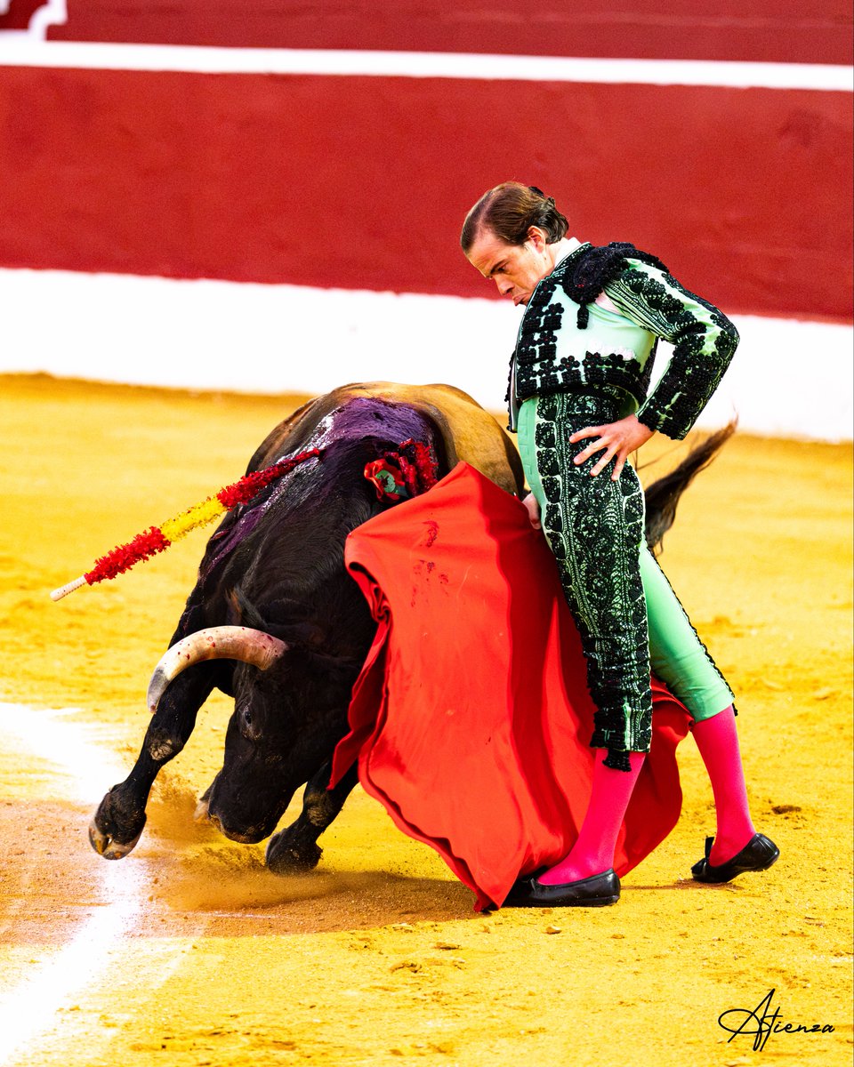 Atienza_Edu's tweet photo. 📸 • Javier Cortés. Copa Chenel Alalpardo 2026.
•
•
•
Fotografías originales de Edu Atienza.
@JavierCortesInf 
@CopaChenel 
#Toros #Cultura #Madrid https://t.co/Fhp4OqtZUu