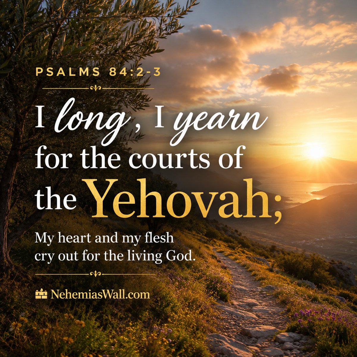 ngordon4's tweet photo. Psalms 84:2-3 (1-2E)

How lovely is Your dwelling-place,
O Yehovah of Hosts.
I long, I yearn for the courts of the Yehovah;
my body and soul shout for joy to the living God. https://t.co/pTk4zCyCIT