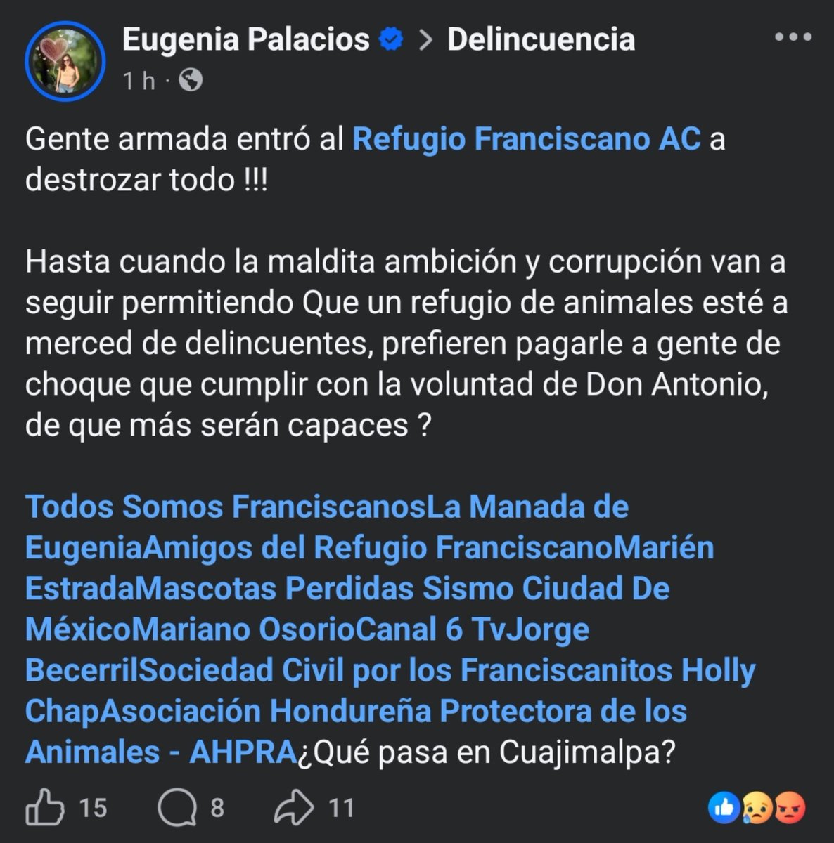 AbigailTor15802's tweet photo. RESPONSABILIZAMOS A LA @FAHaghenbeck, AL @GobCDMX Y A LOS DEMÁS INVOLUCRADOS EN EL DAÑO A LOS FRANCISCANITOS EN ESTE NUEVO ATENTADO EN CONTRA DEL REFUGIO FRANCISCANO!
Y COMO SIEMPRE LA POLICIA LLEGANDO TARDE, PREGUNTANDO Y ACTUANDO TARDE
@AdyxOlea 
@pasotti 
@FundacionToby https://t.co/RnA6R9YSBn