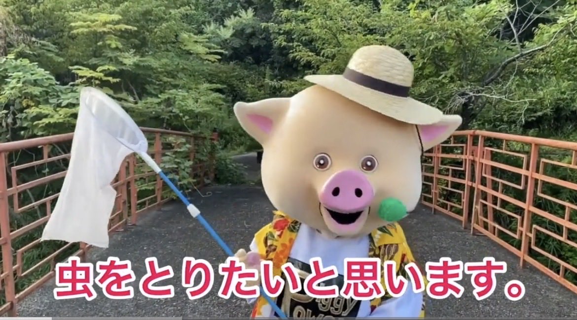 KimaruKosuke's tweet photo. #ぶートン　#ぶートンのにこにこ放送局
#クワガタ　#カブトムシ　#夏休みの楽しみ
#31ぶートンのにこにこ放送局
↓
https://t.co/ngxA7rw1nW https://t.co/jd0yMctDxd