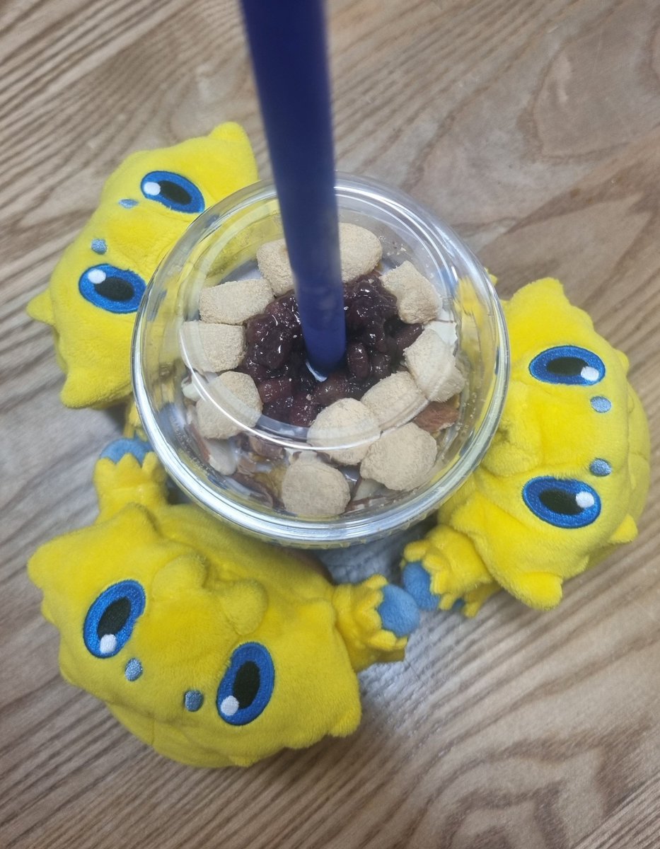 IVY57842481's tweet photo. 저녁 산책 후 컵빙수 놤놤 https://t.co/facXP8OaIn