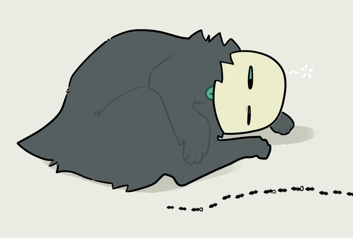 stoopitchud's tweet photo. lazy THING https://t.co/pKwdgZHCw9
