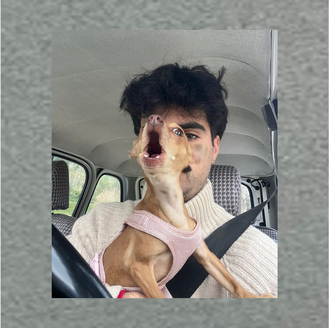 otiagofelix's tweet photo. https://t.co/GK6NPkNPNj
