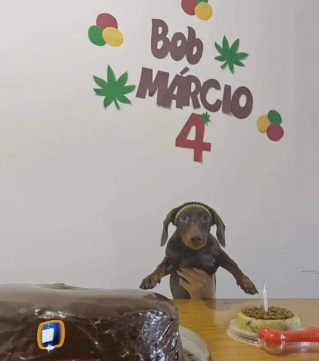 fuiproserasa's tweet photo. an? tá bom https://t.co/cFMsewiTU8