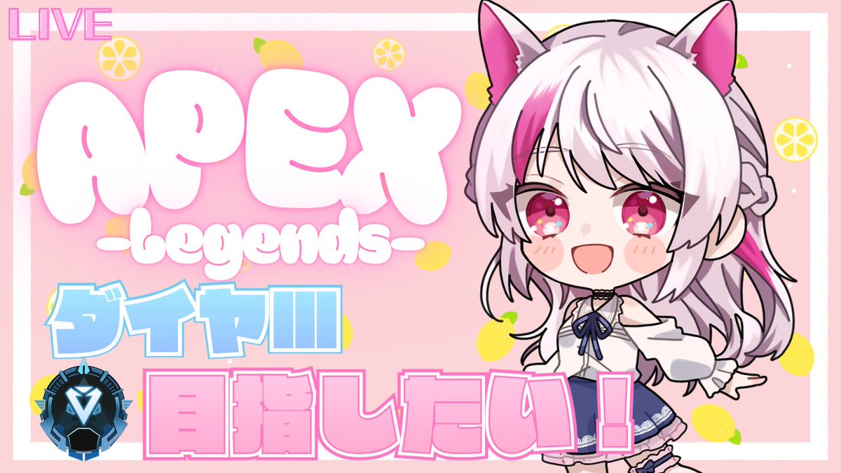 始めました〜🐈🎀