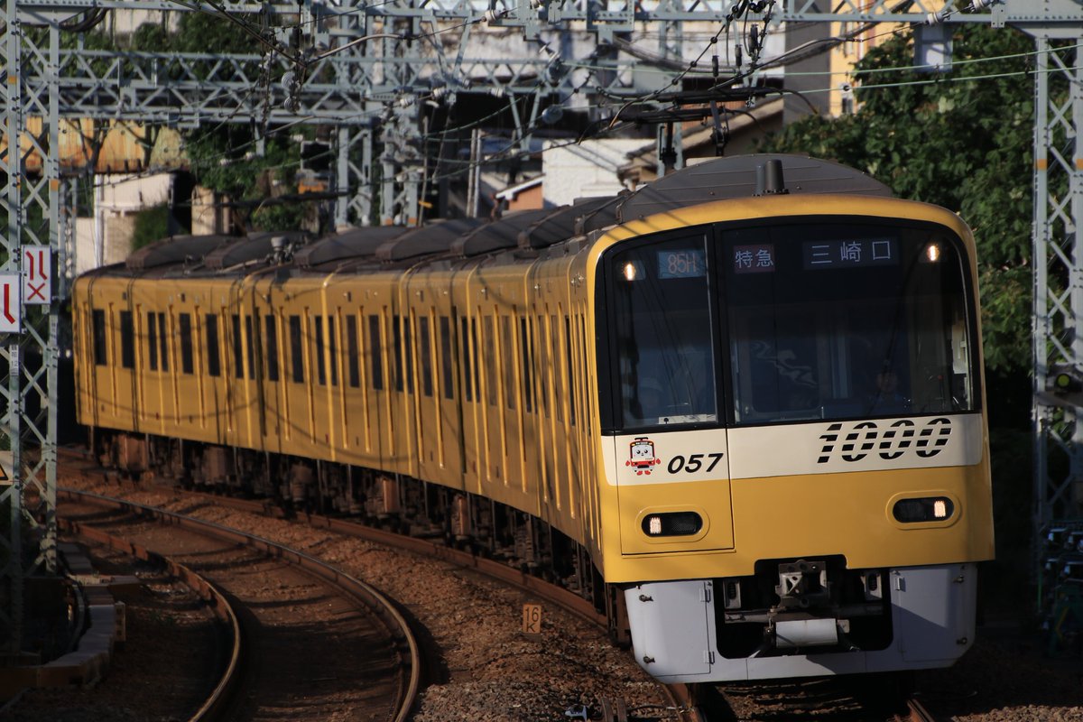 うぇーい(✌︎ ˙ω˙ ) ✌︎