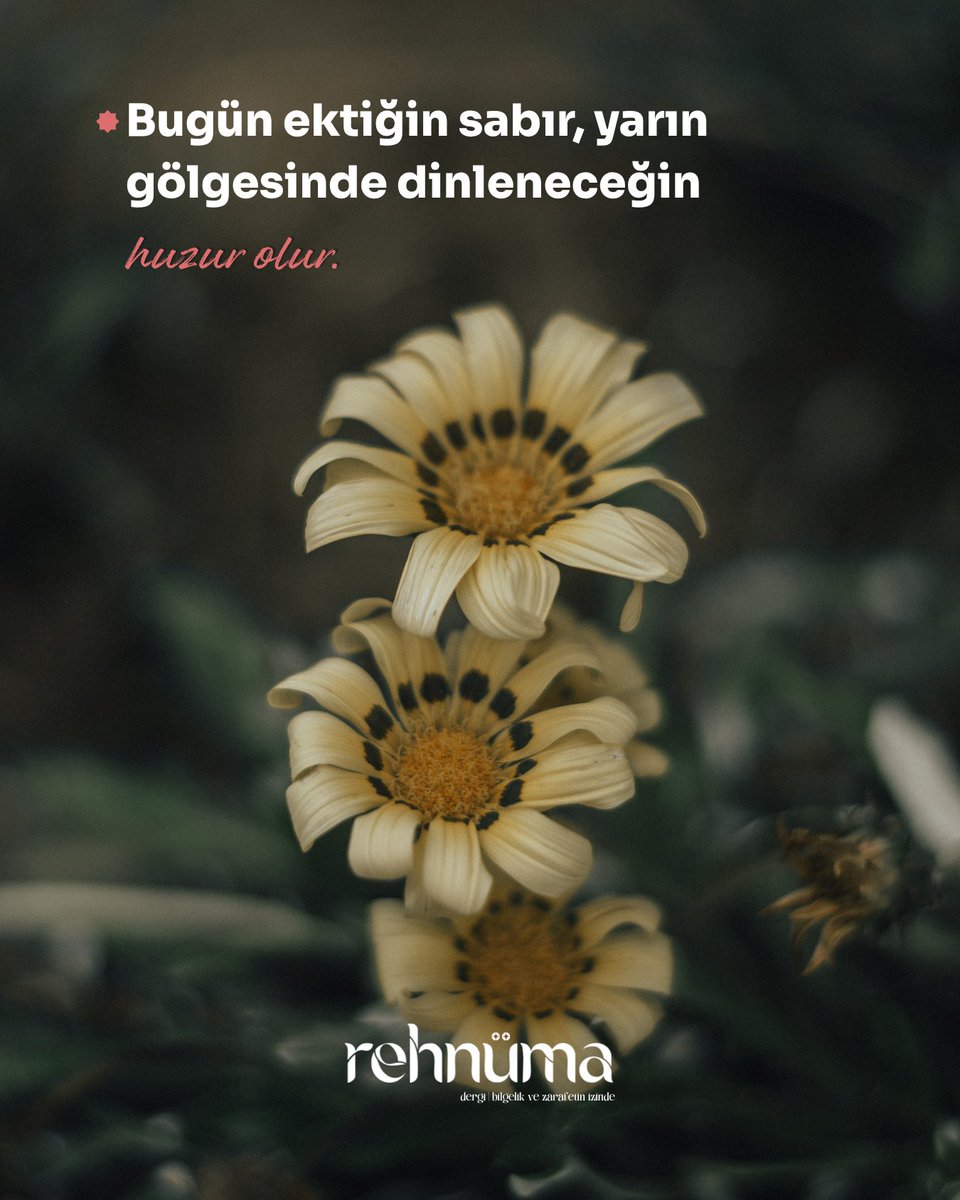 rehnumadergi's tweet photo. Bugün ektiğin sabır, yarın gölgesinde dinleneceğin huzur olur.

🌐 https://t.co/L8j3bvqBqN

#Huzur
#bilgelikvezarafet
#rehnümadergi
#zarifyasam https://t.co/Mb1Jwcg8ix