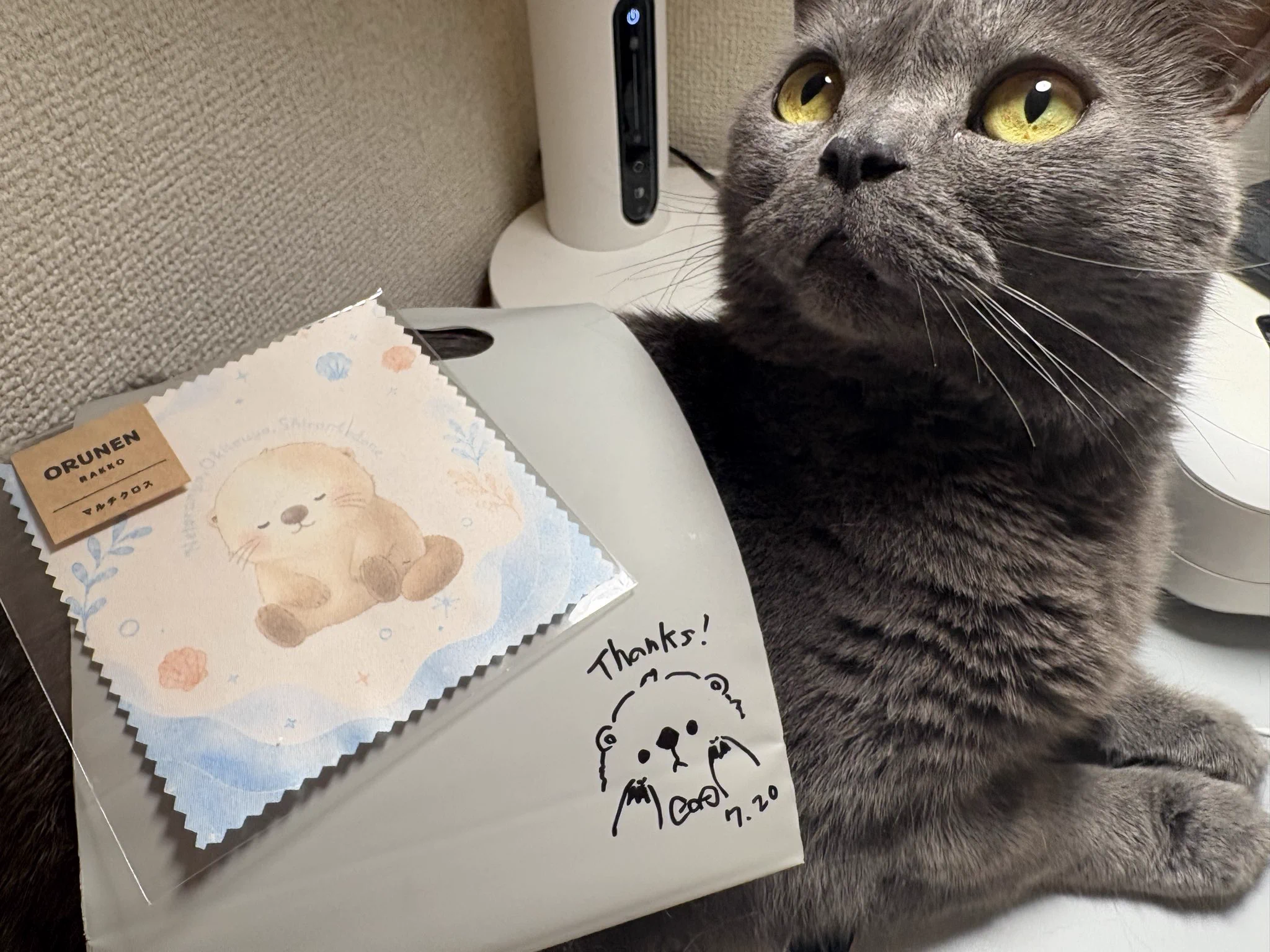 ちゃこ(みゃお) on X: 