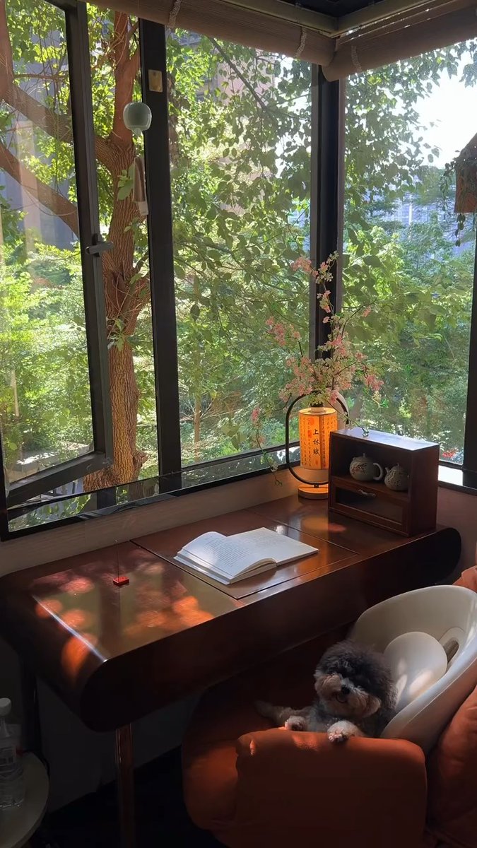 InaSapir37581's tweet photo. Just soaking up the afternoon sun with iced coffee and a good book—weekend vibes hit different https://t.co/Fiymk2k8XQ