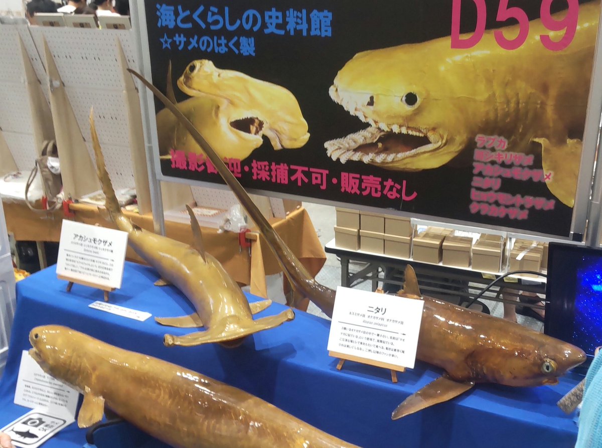 soneyano's tweet photo. 博物ふぇすてぃばる楽しかった
初めてだし最終日遅目だしで散策つもりで行ったら散財した
敗因:予算を決めずに行ったこと
対策:次回はしっかり予算を貯めていく https://t.co/93EBE5u4iI