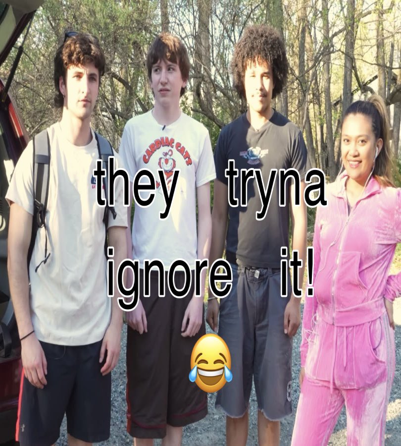 kidnamecharlie's tweet photo. use my meme! 😂 #boftwt #theyteynaignoreit #hanbon https://t.co/gHTrxX9Gwk
