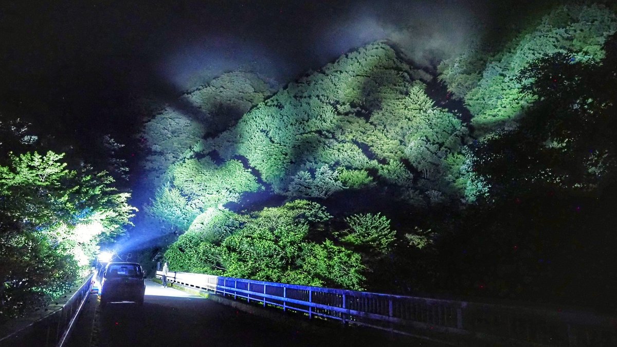 PJM2889's tweet photo. 一昨日の夜は第6戦♪
まぁまぁ暖かく湿気のある夜でした

ポツポツ捕れていたけど途中で着地用HIDが壊れてしまい、実験していたUVライト＋幕を設置し直して代用する事になる展開。。。

想定外の本格運用で有効性の疑問に決着！
捕れてはいたけど上空を飛ぶ虫を着地させるには力不足と考え不採用に！ https://t.co/RpS1C0kguP