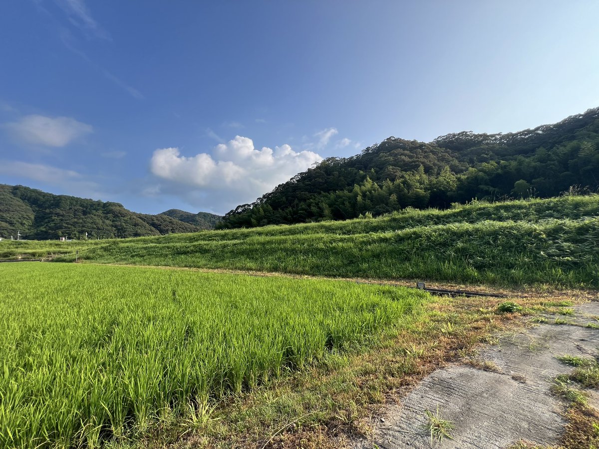 田舎の者mo-chan (@moss0782ga) / Posts / X