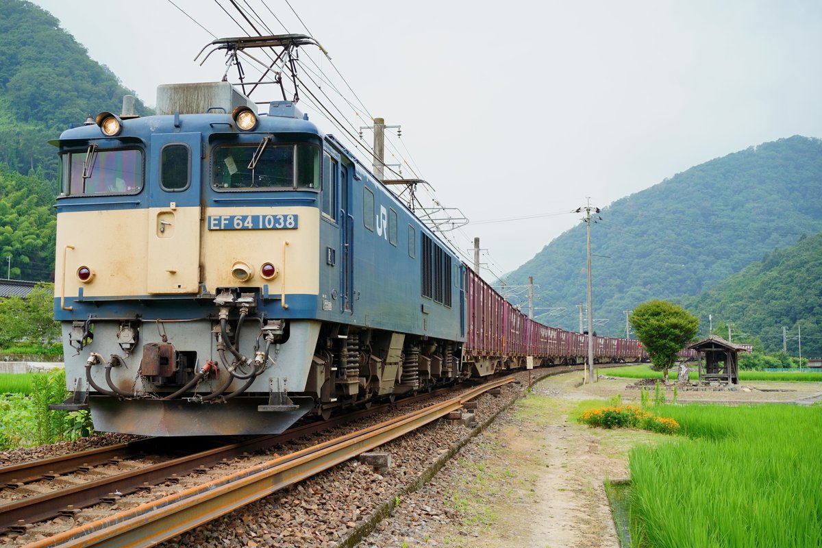 toandfrominami's tweet photo. 2026/7/20　3082レ　EF64 1038　方谷⇒備中川面
64を見たのは随分久しぶり
空が曇り狙いが通過まで持ってくれました https://t.co/d38banal5g