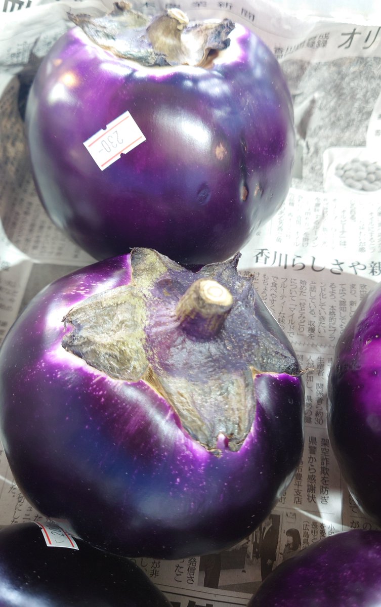 Re71778788's tweet photo. こんにちは

矢掛町よりイタリアン野菜が
入荷しました

ビステッカスペリオーレ、
別名ステーキ茄子です

果肉がとっても緻密で、
ステーキ肉のように厚切りにして焼くと、中はトロトロクリーミーな食感になり、コクのある味わいを楽しめますよ

チーズを乗せて焼くと、更に美味しくなります

昨シーズンは売り切れ続出だった
ステーキ茄子、ビステッカスペリオーレ

宜しくお願いします

#矢掛町産
#Re・ベジル
#秀ちゃんの店