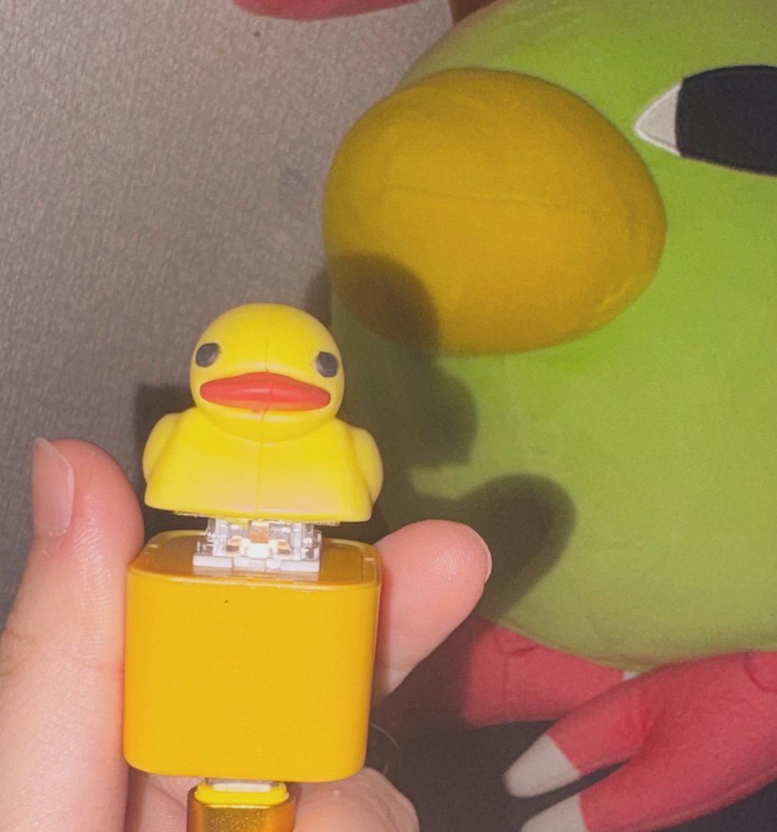 sefi_UNREAL's tweet photo. 充電中🐥⸒⸒ https://t.co/Ts6anjUBzy
